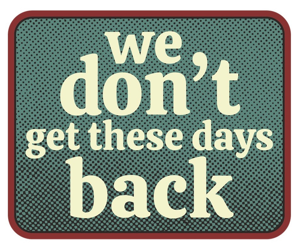 Set of Four - We Don't Get These Days Back - Stickers